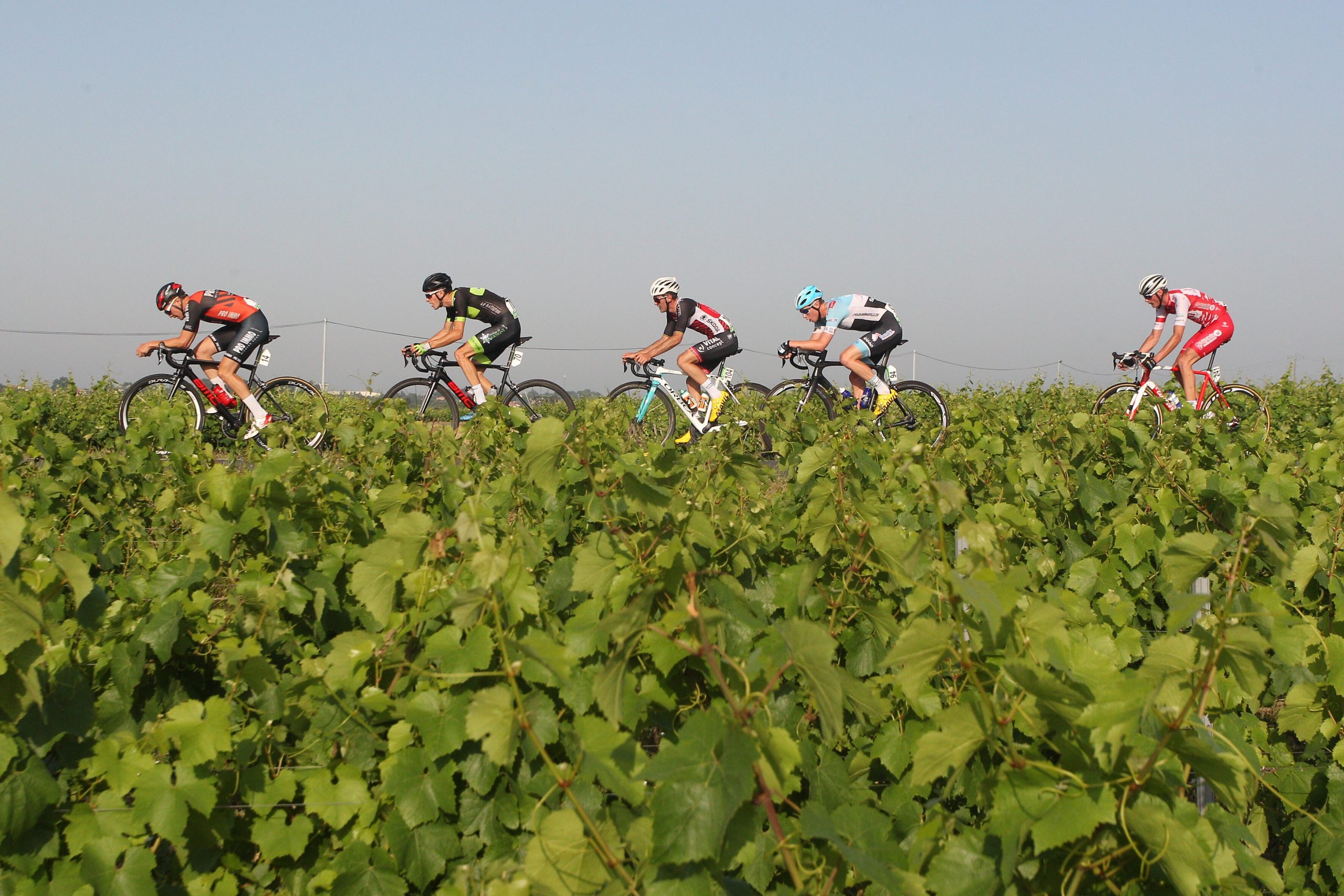 Trophée Label d'Or FFC course vélo
